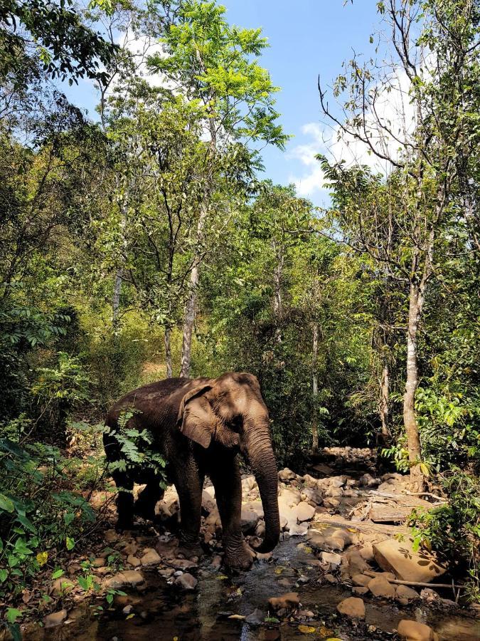 Srey Leap Homestay Banlung Eksteriør billede