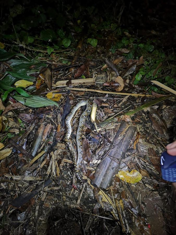 Srey Leap Homestay Banlung Eksteriør billede